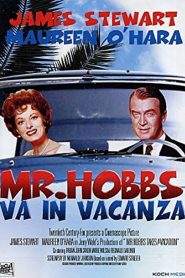 Mr. Hobbs va in vacanza (1962)