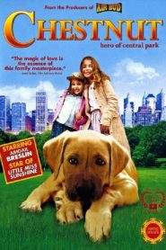 Chestnut – L’eroe di Central Park (2004)