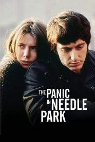 Panico a Needle Park (1971)
