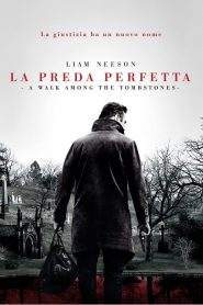 La preda perfetta – A Walk Among the Tombstones (2014)
