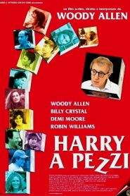 Harry a pezzi (1997)