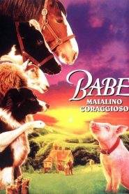 Babe – Maialino coraggioso (1995)