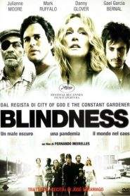 Blindness – Cecità (2008)
