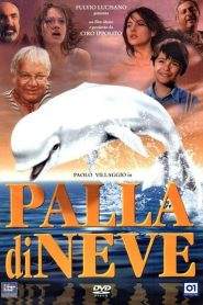 Palla di neve (1995)