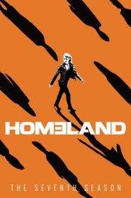 Homeland – Caccia alla spia 7