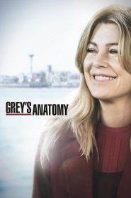 Grey’s Anatomy 15