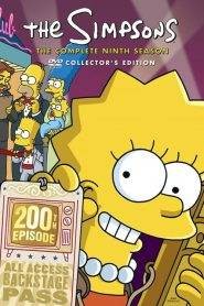 I Simpson 9