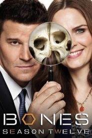 Bones 12