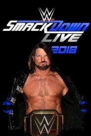 WWE SmackDown Live 20