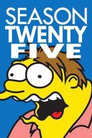 I Simpson 25