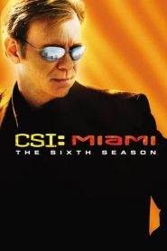 CSI: Miami 6