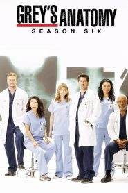 Grey’s Anatomy 6