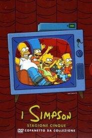 I Simpson 5
