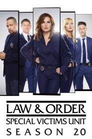 Law & Order – Unità vittime speciali 20