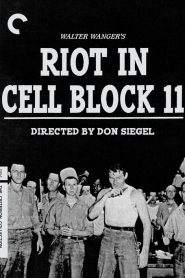 Rivolta al blocco 11 (1954)