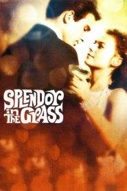 Splendore nell’erba (1961)