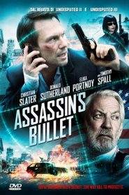 Assassin’s Bullet – Il target dell’assassino (2012)