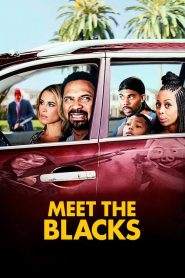 Meet the Blacks (2016)