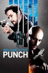 Welcome to the Punch – Nemici di sangue (2013)