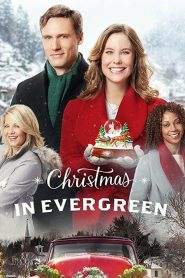 Natale a Evergreen (2017)