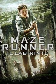 Maze Runner – Il labirinto (2014)