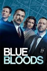 Blue Bloods 8