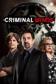 Criminal Minds 14