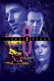 X-Files 8