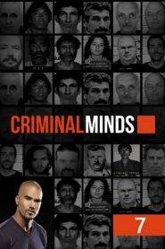 Criminal Minds 7