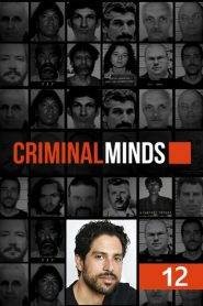 Criminal Minds 12
