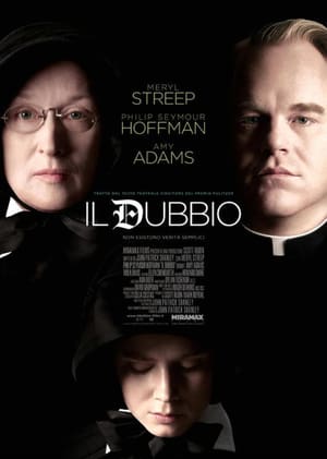 Il dubbio (2008)