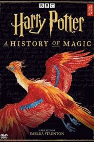 Harry Potter – A History Of Magic (2017)