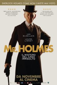 Mr. Holmes – Il mistero del caso irrisolto (2015)