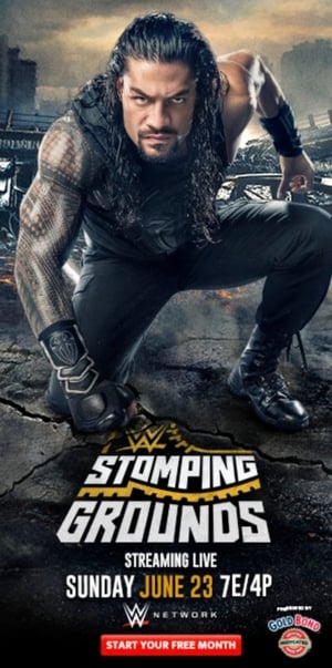 WWE Stomping Grounds (2019)