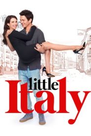 Little Italy – Pizza, amore e fantasia (2018)