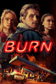 Burn – Una notte d’invenro (2019)
