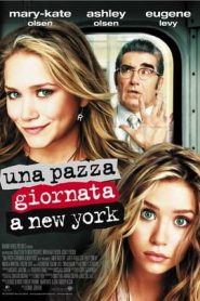Una pazza giornata a New York (2004)