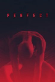 Perfect (2019)