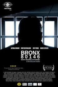 Bronx80146 – nuova squadra catturandi (2020)