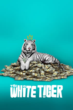 La tigre bianca (2021)
