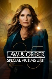 Law & Order – Unità vittime speciali 25