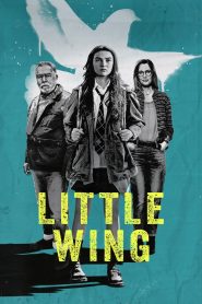 Little Wing – Il senso di casa (2024)