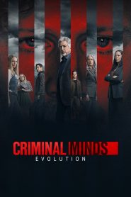 Criminal Minds 17