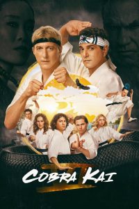 Cobra Kai 6