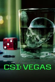 CSI: Vegas 3