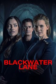 Blackwater Lane: La moglie imperfetta (2024)